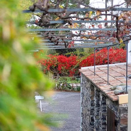 Ourmadeira - Loja Da Lenha