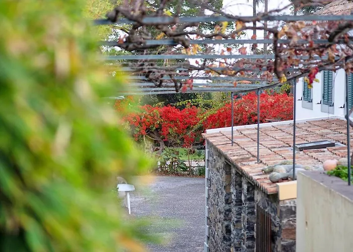 Ourmadeira - Loja Da Lenha