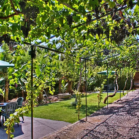 Ourmadeira - Loja Da Lenha Apartment Funchal (Madeira)