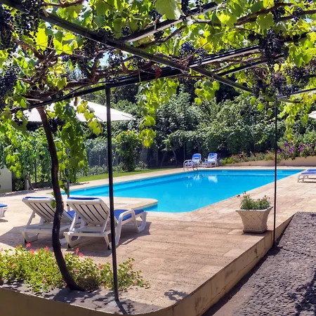 Ourmadeira - Loja Da Lenha Funchal (Madeira)
