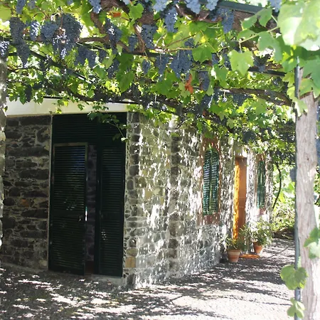 Appartement Ourmadeira - Loja Da Lenha Funchal (Madeira)