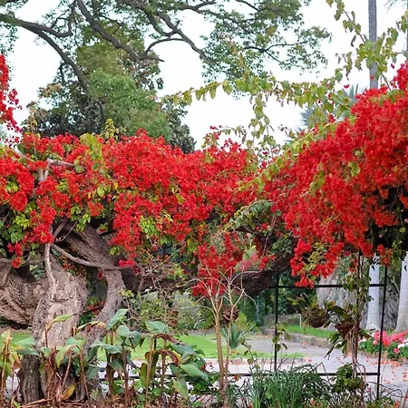Ourmadeira - Loja Da Lenha, Charming