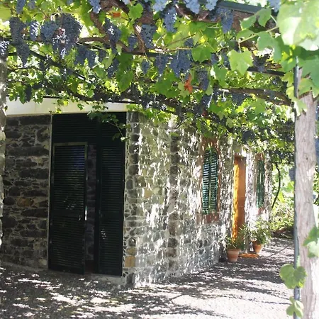 Ourmadeira - Loja Da Lenha, Charming Funchal (Madeira)