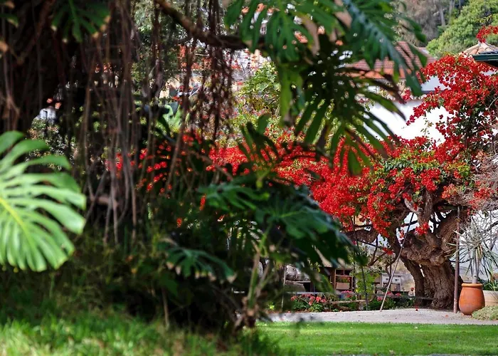 Ourmadeira - Loja Da Lenha Apartman