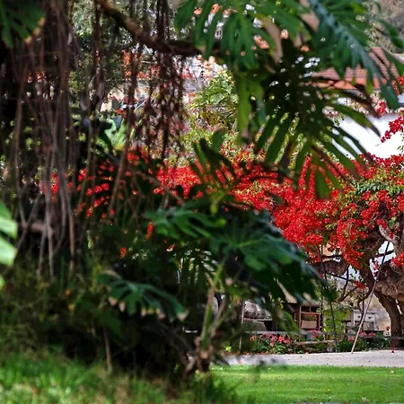 Ourmadeira - Loja Da Lenha, Charming Lägenhet